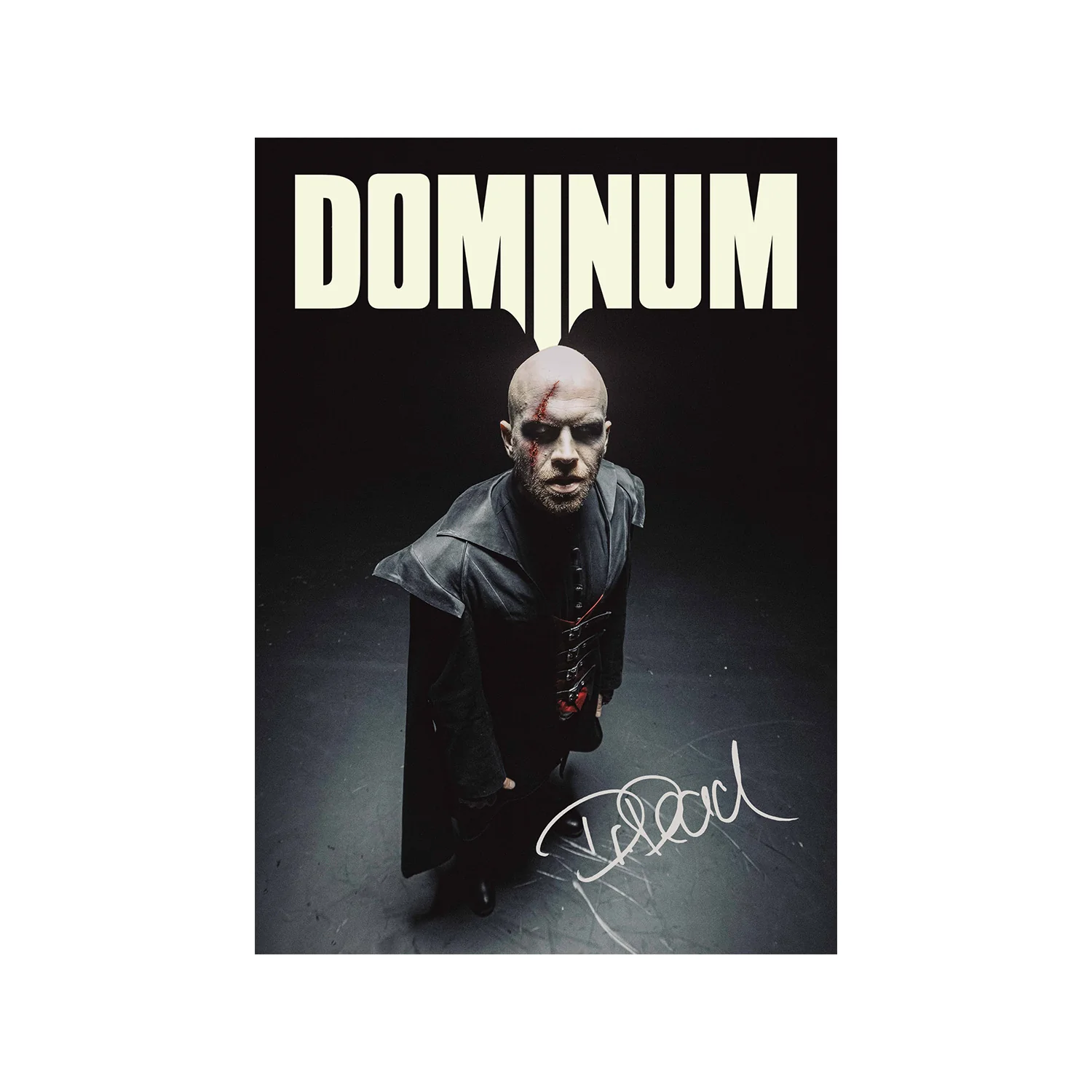 Dominum "Night Is Calling / Black Vinyl LP" 12" w/ Signed Card" Bundle - Image 3